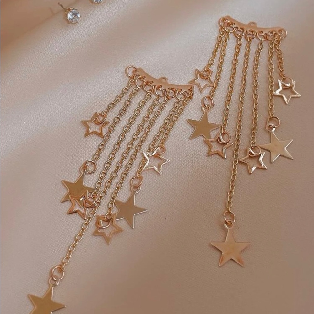 Fashion earrings